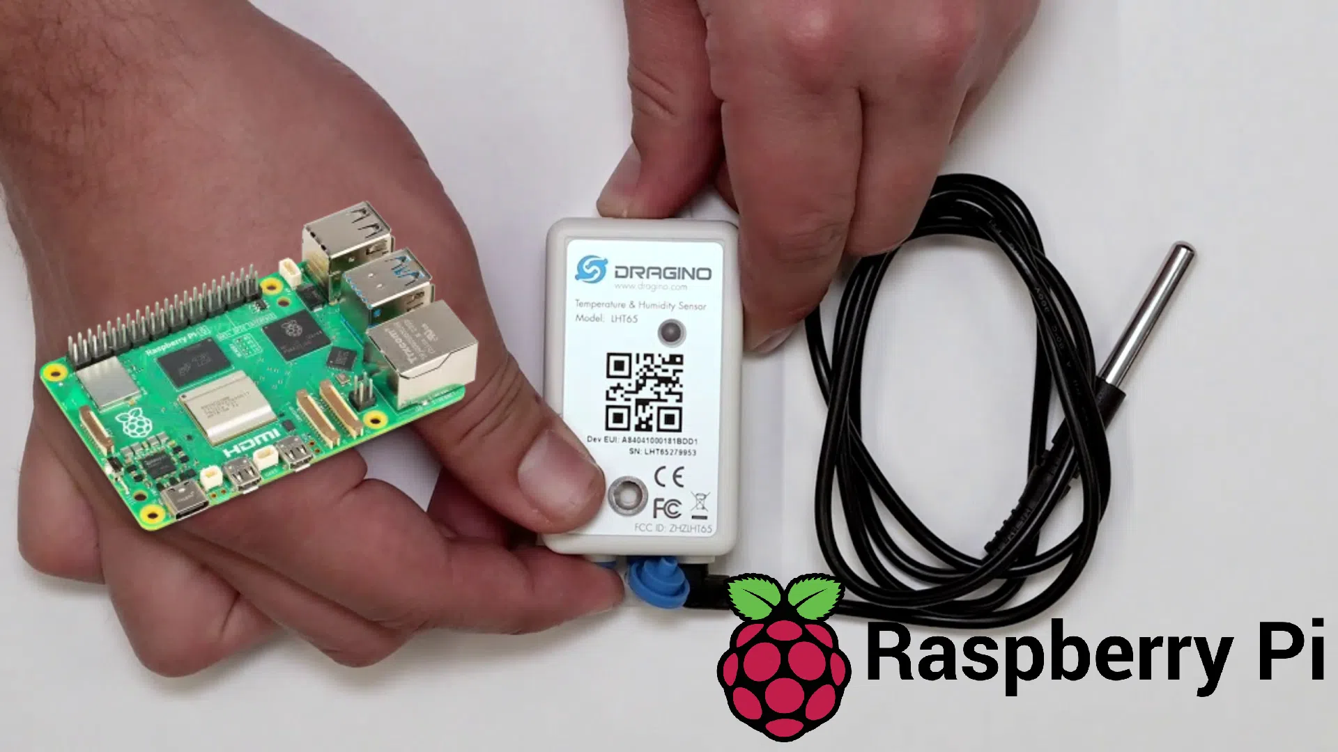 Dragino associé à une carte Raspberry Pi tenue en main, module blanc et sonde reliés par câble